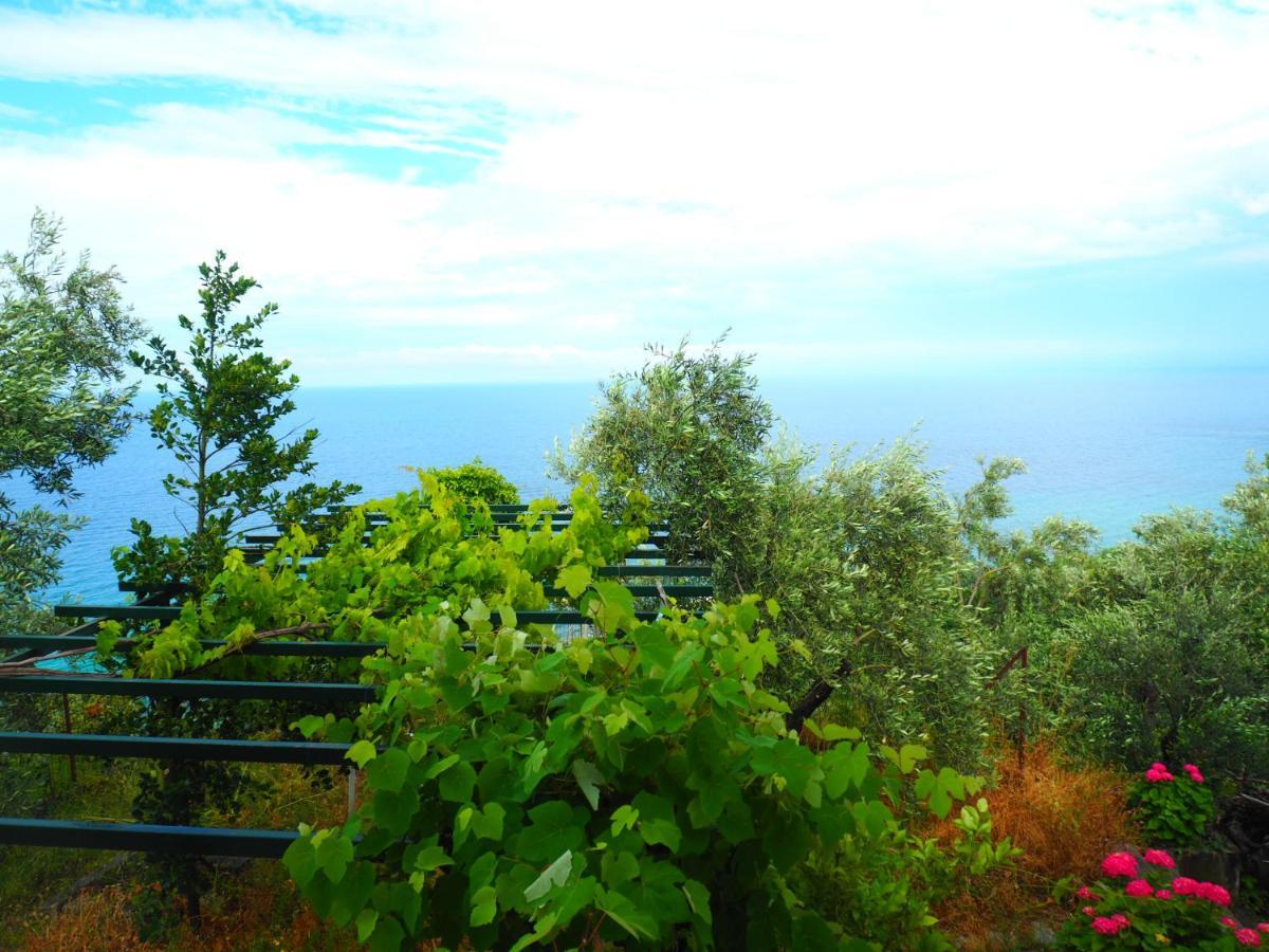 Felitsia Apartments & Studios Agios Ioannis  Екстер'єр фото