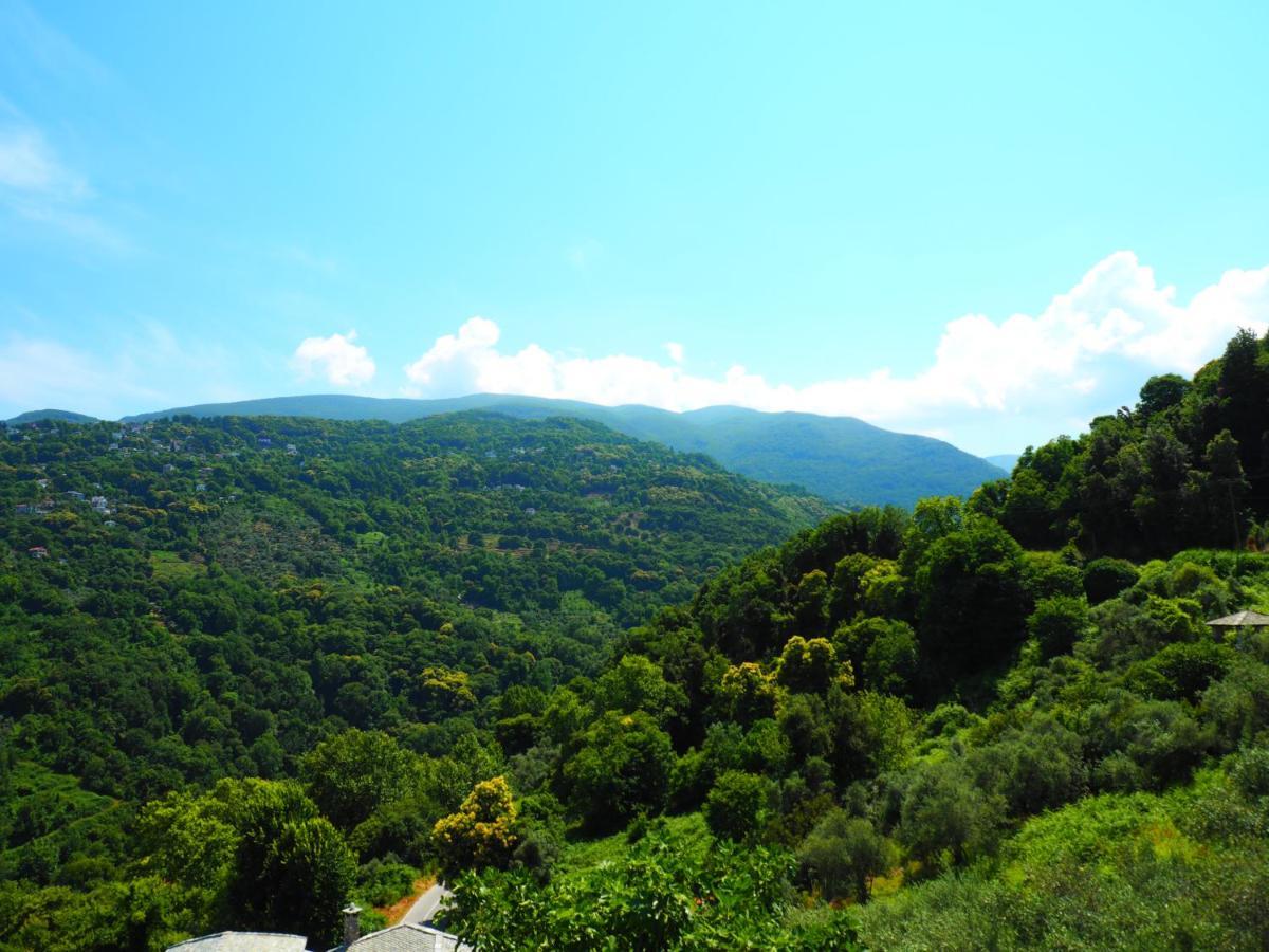 Felitsia Apartments & Studios Agios Ioannis  Екстер'єр фото