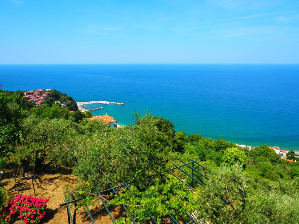 Felitsia Apartments & Studios Agios Ioannis  Екстер'єр фото