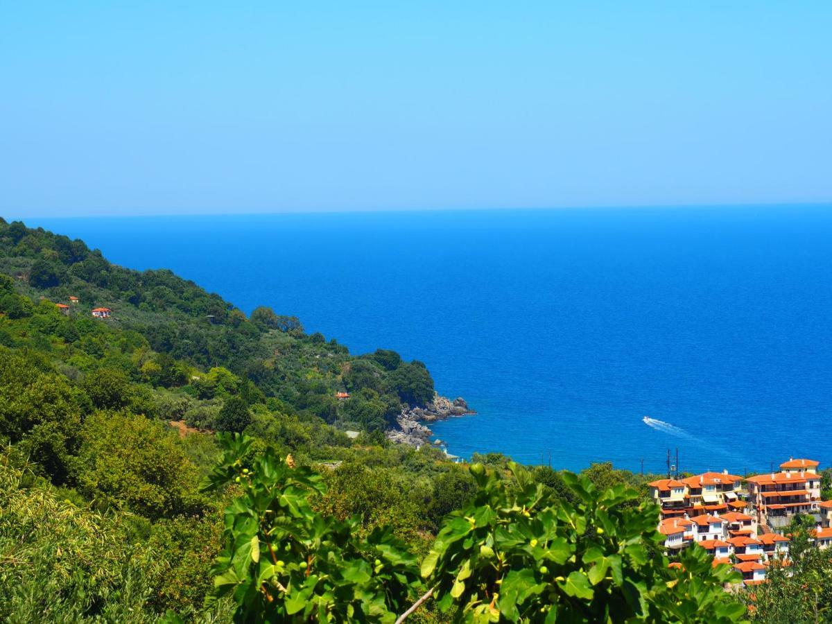 Felitsia Apartments & Studios Agios Ioannis  Екстер'єр фото